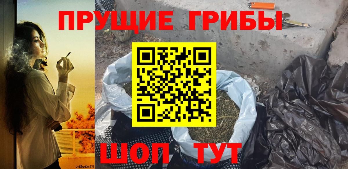Рязань  Галлюциногенные грибы Psilocybe  Псилоцибиновые грибы Psilocybe  Вход с VPN 